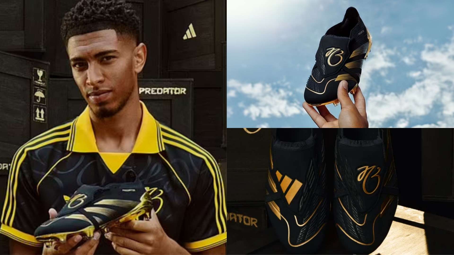 成为了许多 成为了许多